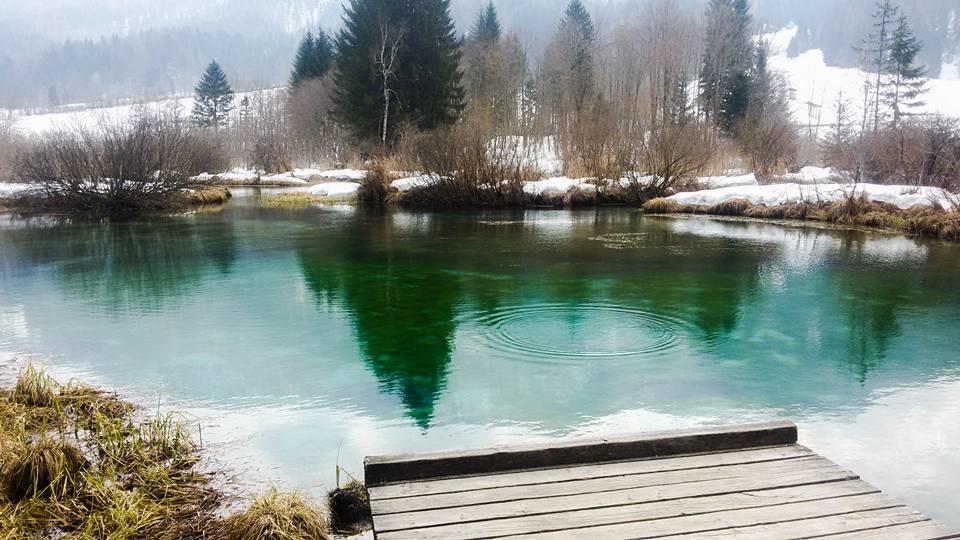 Alpine Spot Διαμέρισμα Kranjska Gora Εξωτερικό φωτογραφία