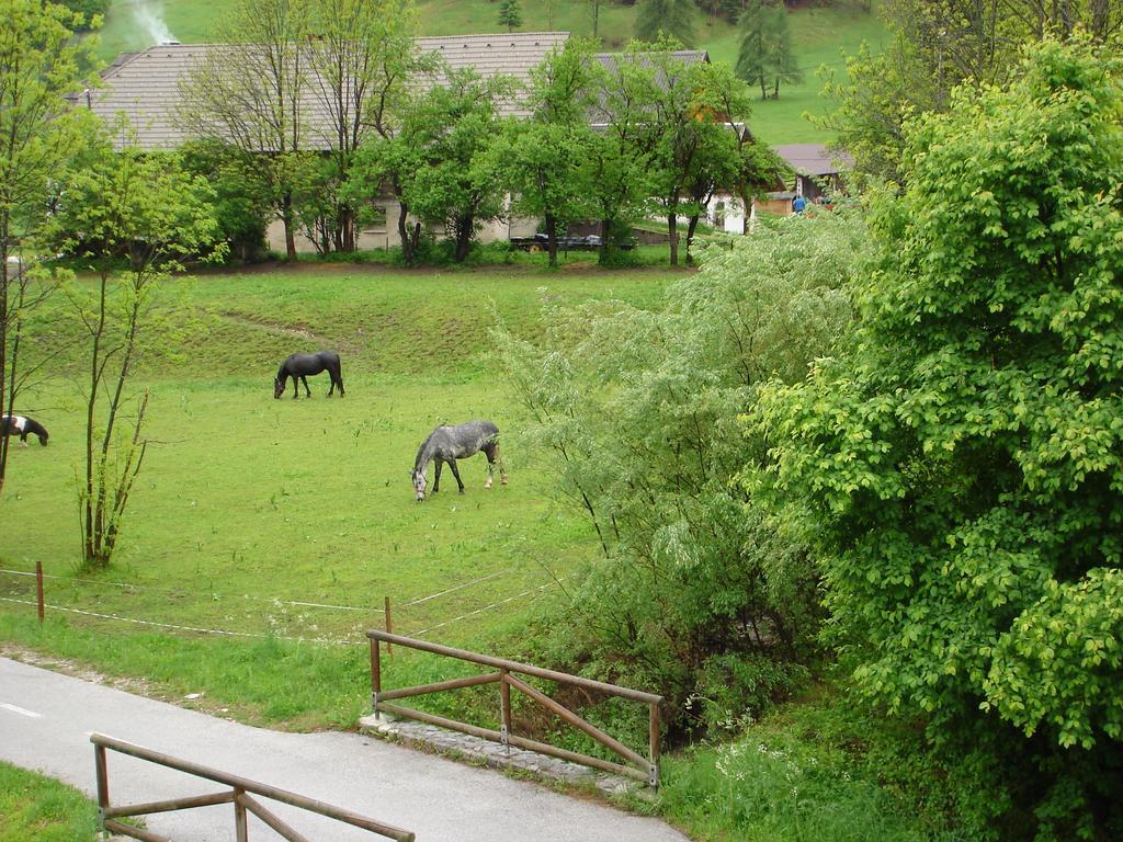 Alpine Spot Διαμέρισμα Kranjska Gora Εξωτερικό φωτογραφία